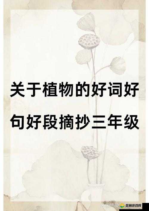 好爽好深好紧好大：探索极致体验的奥秘，感受前所未有的震撼与满足