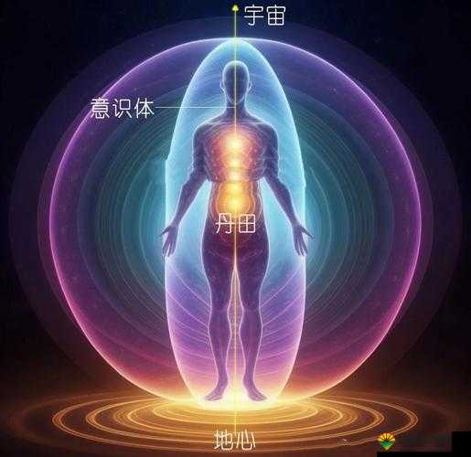探索金刚莲花仪式的奥秘：如何通过古老仪式提升心灵与能量平衡