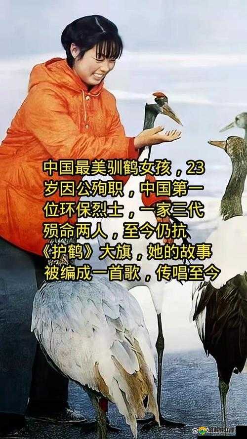 中国老太毛茸茸视频引发热议：暖心瞬间背后的感人故事与网友热议
