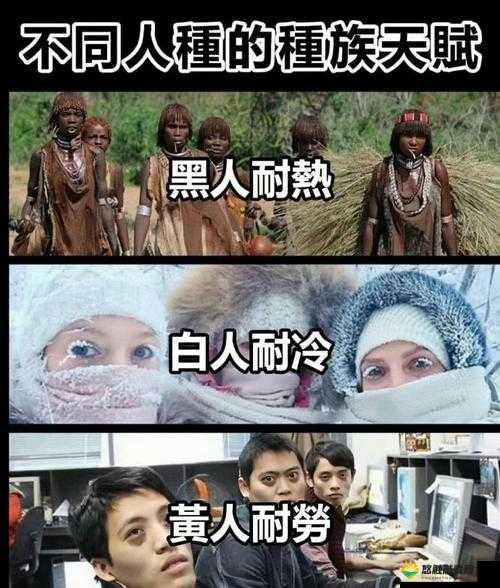 黑人与其他人种的 DNA 究竟有何差异？探寻不同人种基因奥秘大揭秘