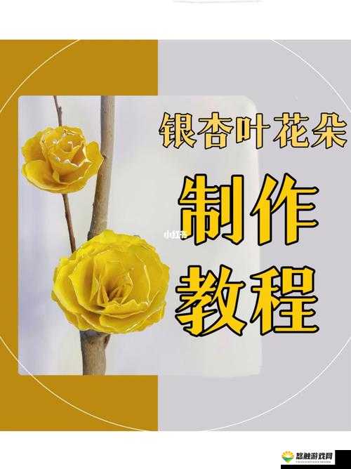如何制作银杏叶标本？简单几步教你轻松上手
