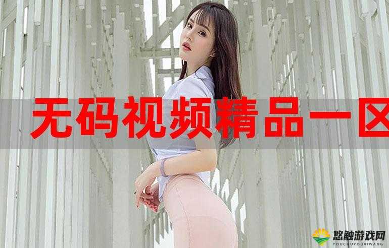 天天综合一区、二区、三区究竟有何独特之处？带你全面了解其精彩内容