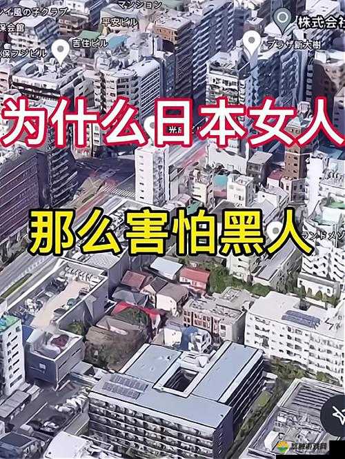 日本如何应对黑人问题？探究其处理方式及背后的原因与影响
