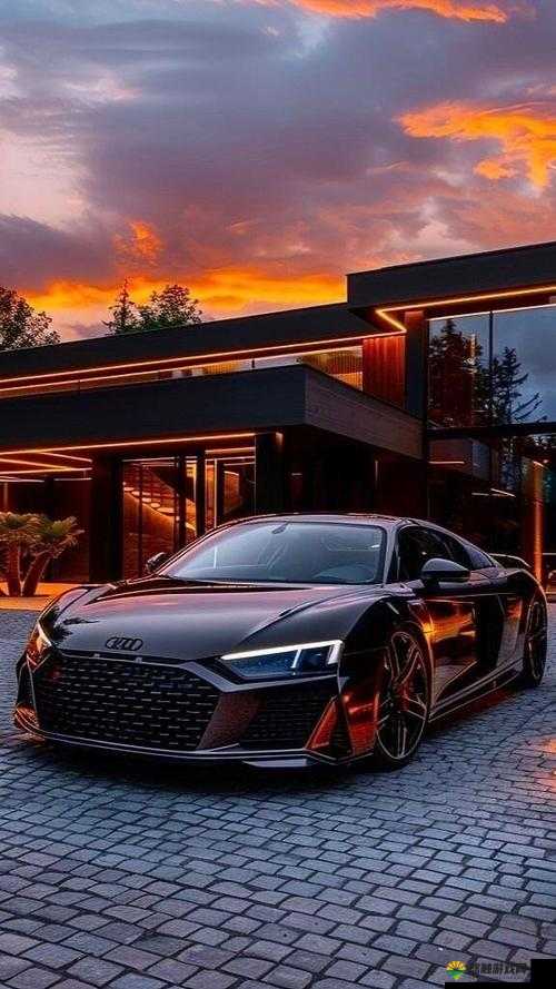 什么是推特 r8 特别版？带你深入了解其独特之处与魅力