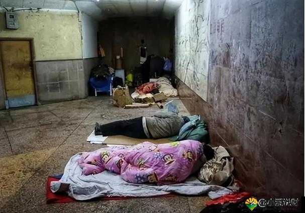 校花遭遇流浪汉下药糟蹋,社会安全问题引发广泛关注与讨论