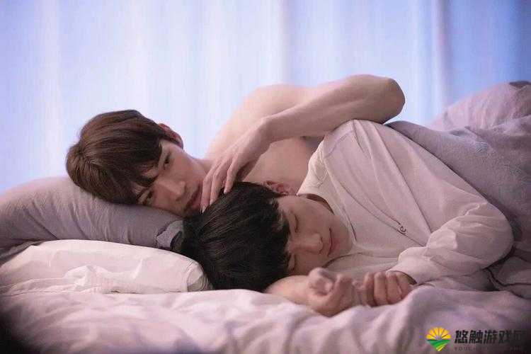 探索男男Gay片CⅤvideo中的情感与艺术：深度解析影片中的角色互动与情感表达