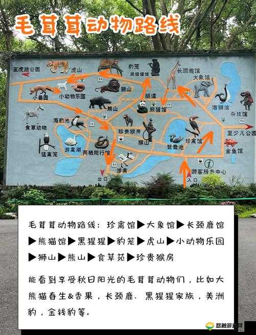 发现动物公园落叶怎么得？发现动物公园落叶在哪挖？全面攻略