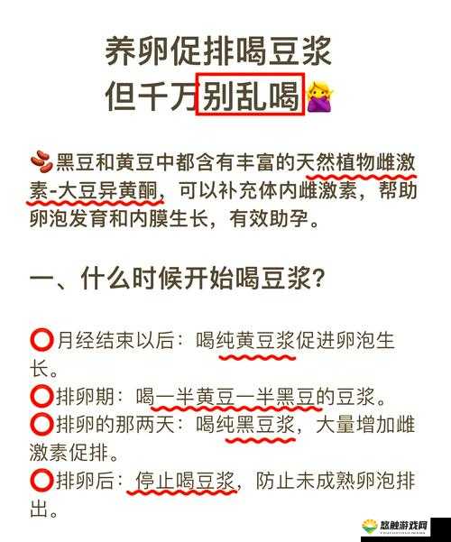 火箭少女流豆浆是什么意思？为何引发众人好奇与热议？快来一探究竟