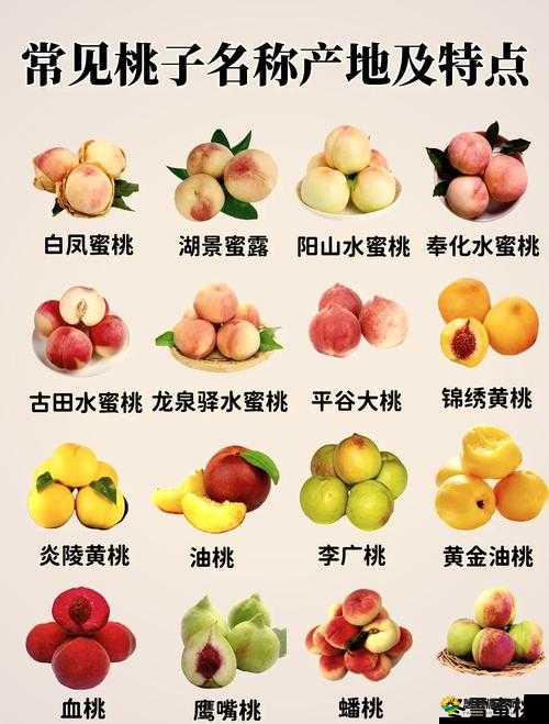 红桃 38.57 究竟是什么？它有着怎样独特的含义和作用呢？