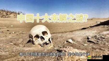 皇上御花园HLH：霍冶臻与霍治临的传奇故事揭秘，历史背后的真相与未解之谜