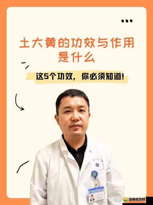 土黄的使用方法和作用有哪些?如何正确使用土黄?土黄在各领域中有哪些应用?