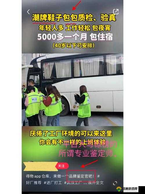 鉴定师 app 免费网站大全官网有哪些？快来这里一探究竟