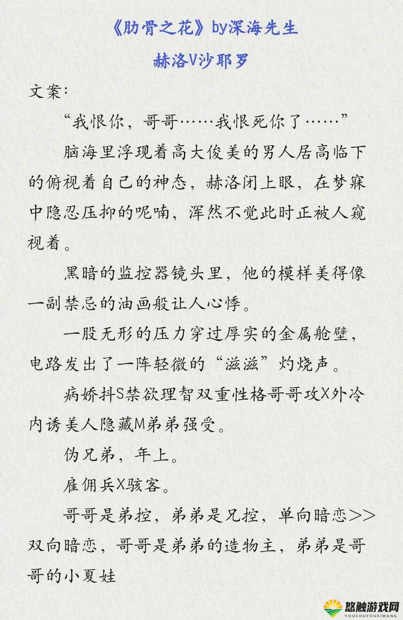 双男主小说推荐：哪些经典作品让你欲罢不能？这些必读佳作不容错过