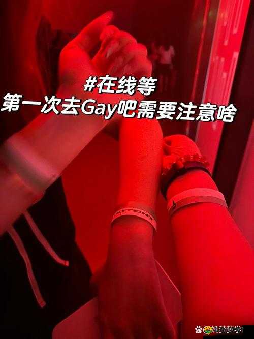 国产男男Gay做受XXX高潮的真实体验分享：情感与身体的深度交融探索