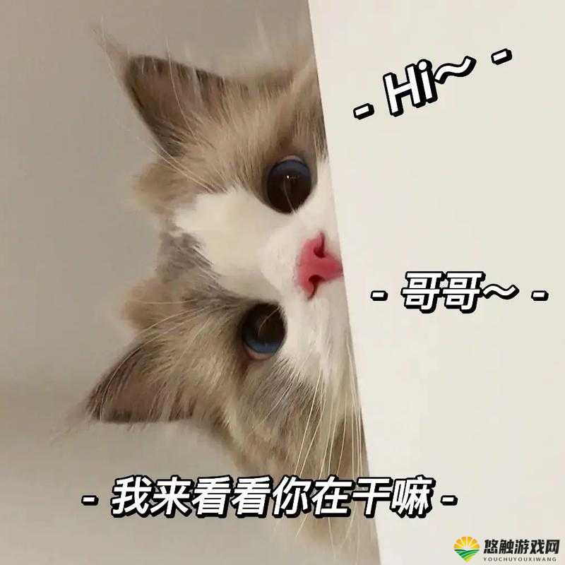 男生一般会对谁发送可爱表情？探秘男生发送可爱表情的对象是谁