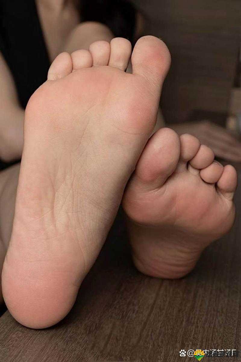 扒开大腿看秘密:揭秘隐藏在健康与美丽背后的真相与科学
