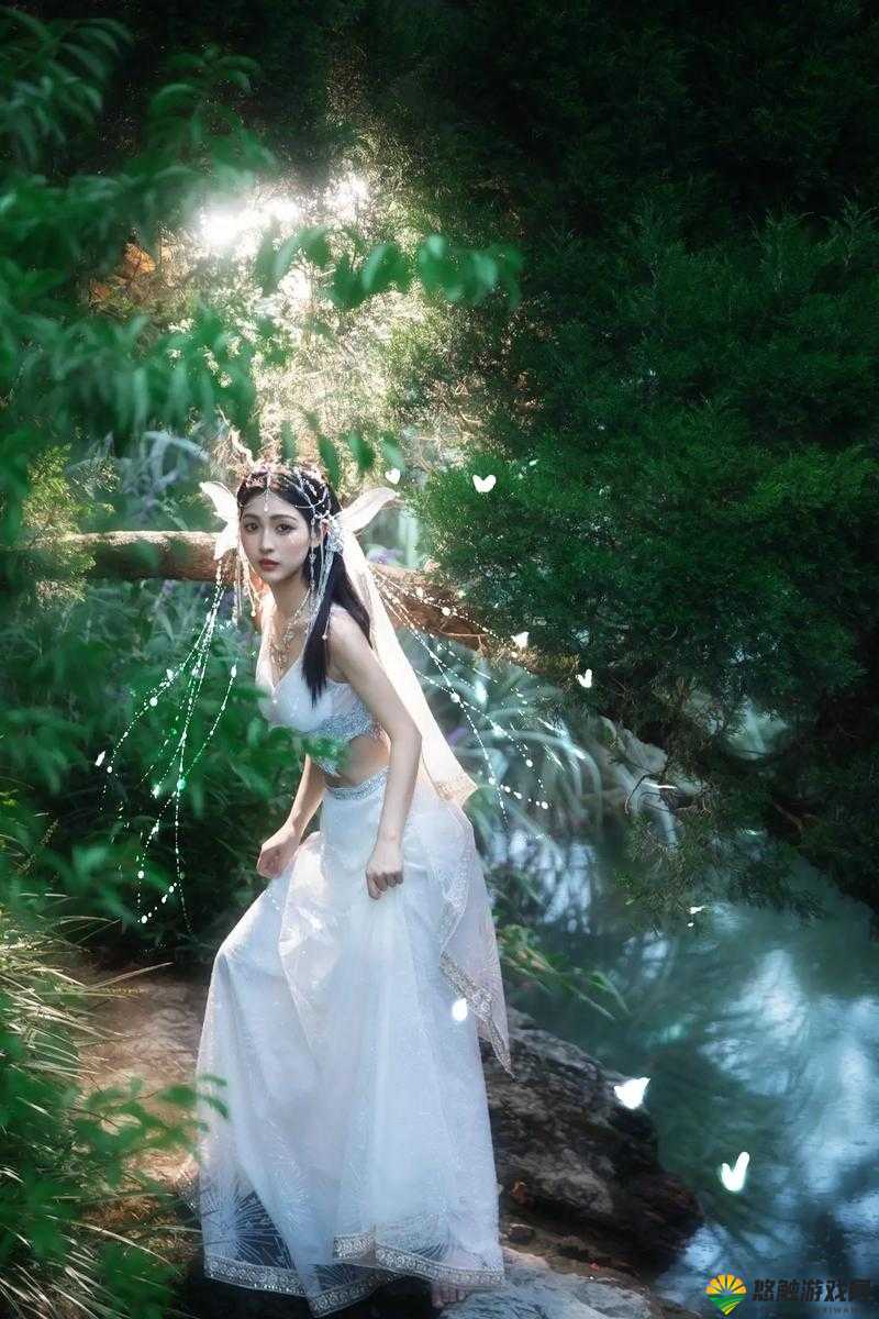 37大但人文艺术仙踪林究竟有何独特魅力？探寻其中的奥秘与精彩