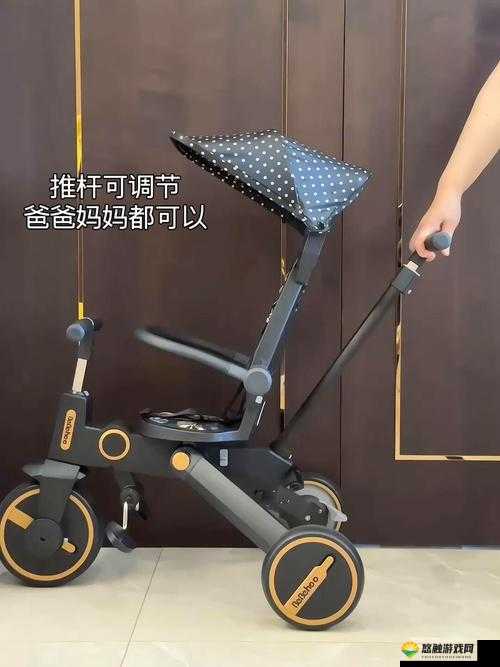 国产幼童小马拉车6价格大揭秘：到底多少钱？快来一探究竟