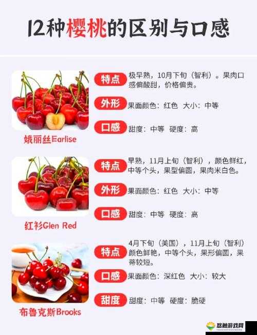 樱桃视频福利究竟有哪些？快来一探究竟，解锁更多惊喜内容