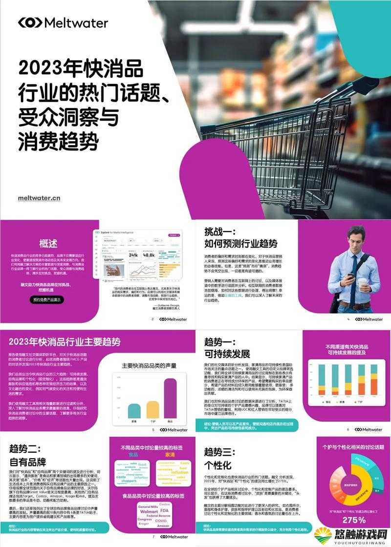 2023年经典案例分析:如何通过实际案例深入理解2023年的市场趋势与消费者行为变化?