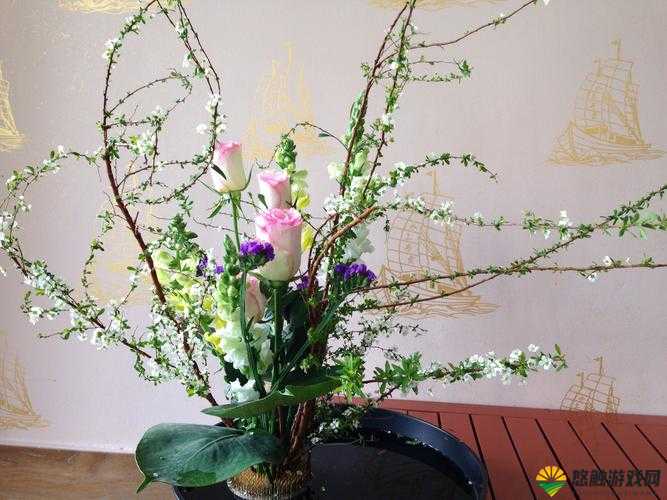 这张图片展示的是双阳插花芯，其花蕊犹如孔雀开屏，十分美丽